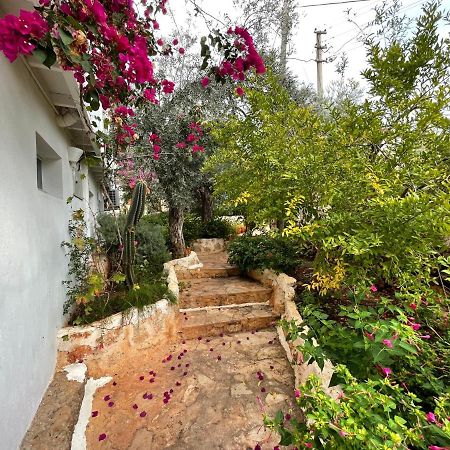 Kaktus Beach Apart Kaş Eksteriør billede