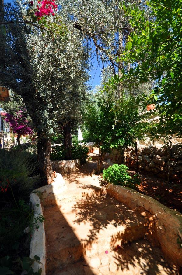 Kaktus Beach Apart Kaş Eksteriør billede